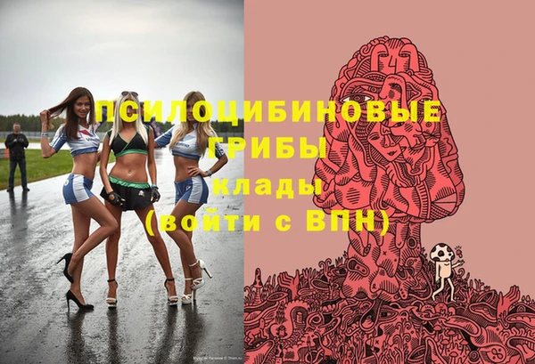 2c-b Алексин