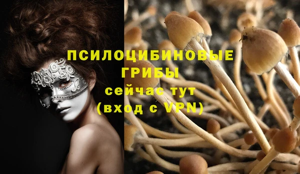 jwh Алзамай