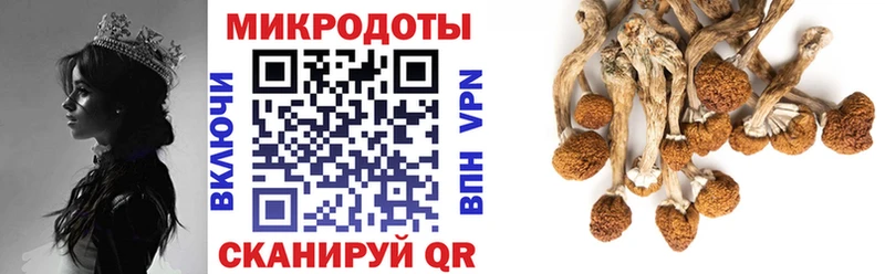 купить наркотики сайты  Николаевск-на-Амуре  Псилоцибиновые грибы мухоморы 